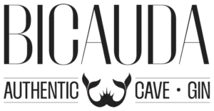 Avada Interior Design