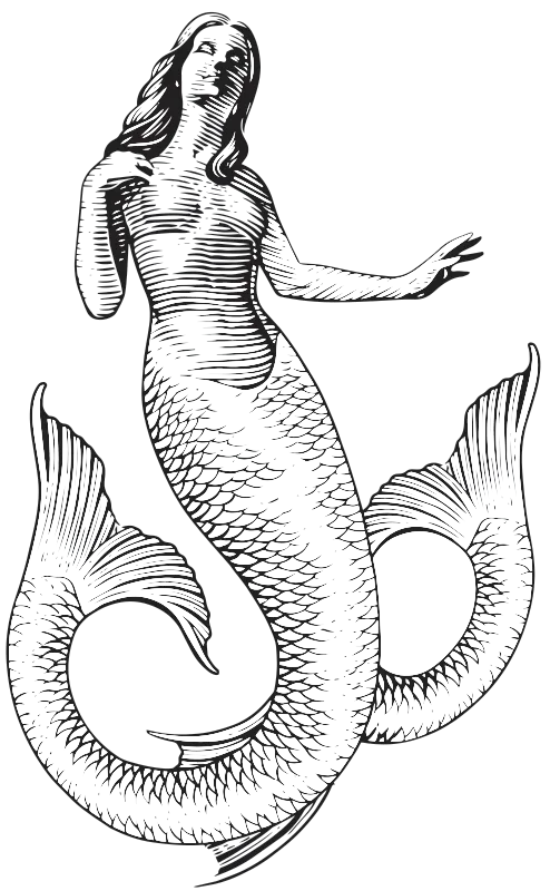 Bicauda Gin Artigianale