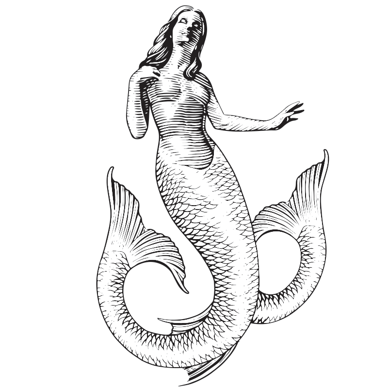 Bicauda Gin Artigianale Bicauda Gin Artigianale