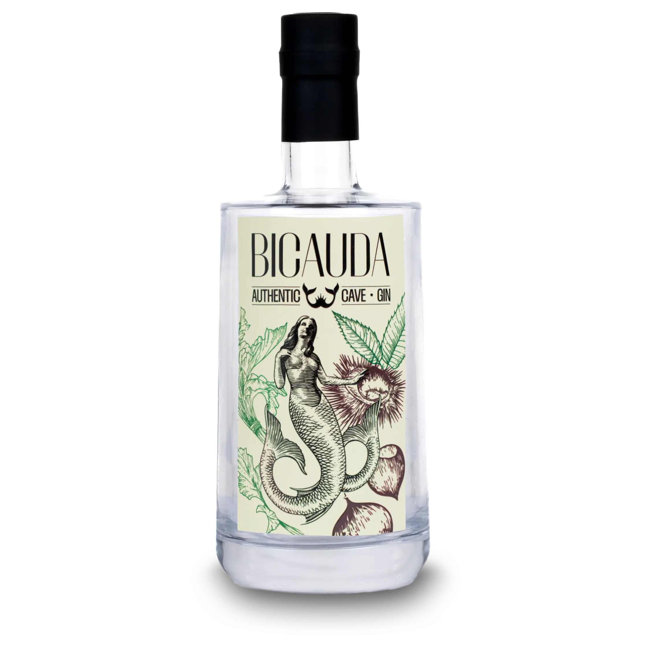 BICAUDA SEASONAL EDITION - SAGRA