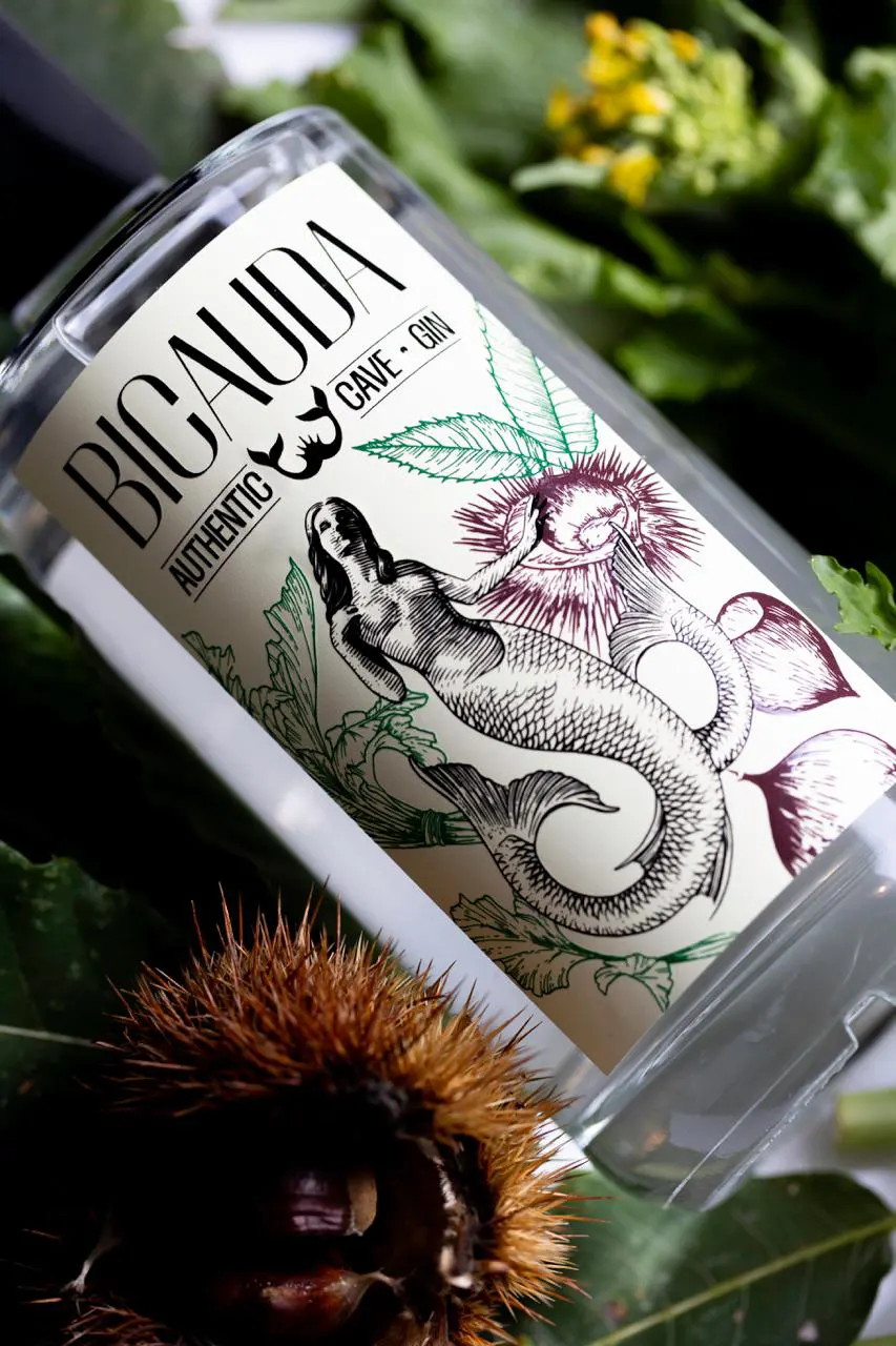 Gin artigianale marroni